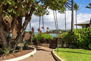 Property grounds - Luxury Oceanfront Studio at Napili Shores, Renovated|Direct Ocean Views | AC (Lahaina)