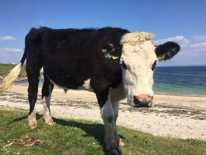 ★Tranquil, Modern & Stylish | Breathtaking Views ★