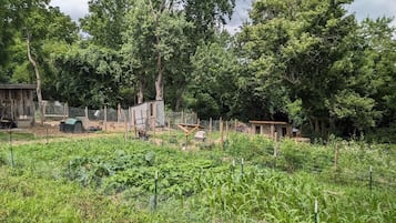 Enceinte de lâhĂ©bergement