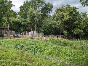 Property grounds - Restful Farm Retreat (Cincinnati)