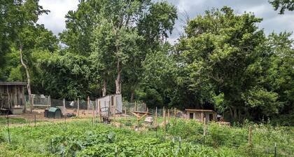 Restful Farm Retreat