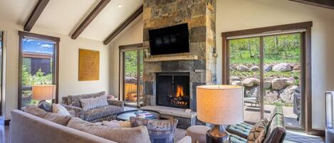 Smart TV, fireplace, books