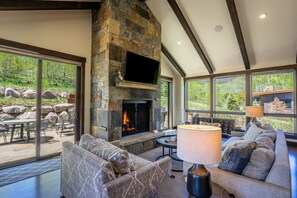 Smart TV, fireplace, books