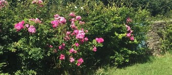 House on the Wild Atlantic Way with Panoramic Views of the Shannon