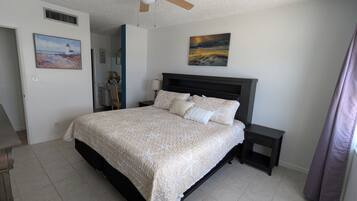A bedroom with a bed, a ceiling fan, a nightstand, a lamp, a painting, and a door.