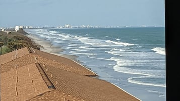 On the beach, sun loungers