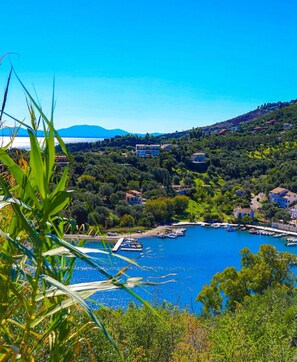 A coastal village with a marina, houses, and lush greenery.