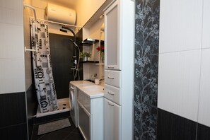 Shower, hair dryer, bidet, towels