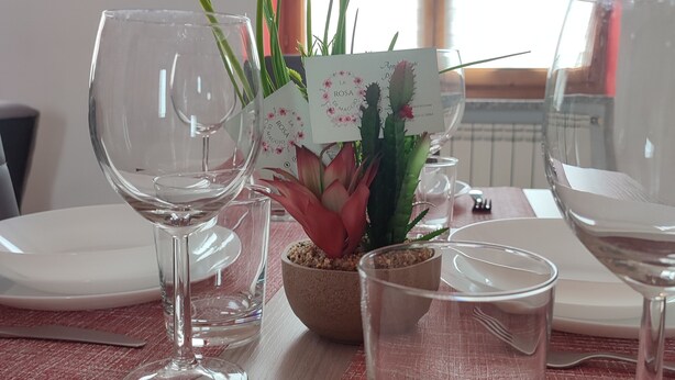 A dining table set with white plates, wine glasses, and a centerpiece of a cactus plant in a brown pot.