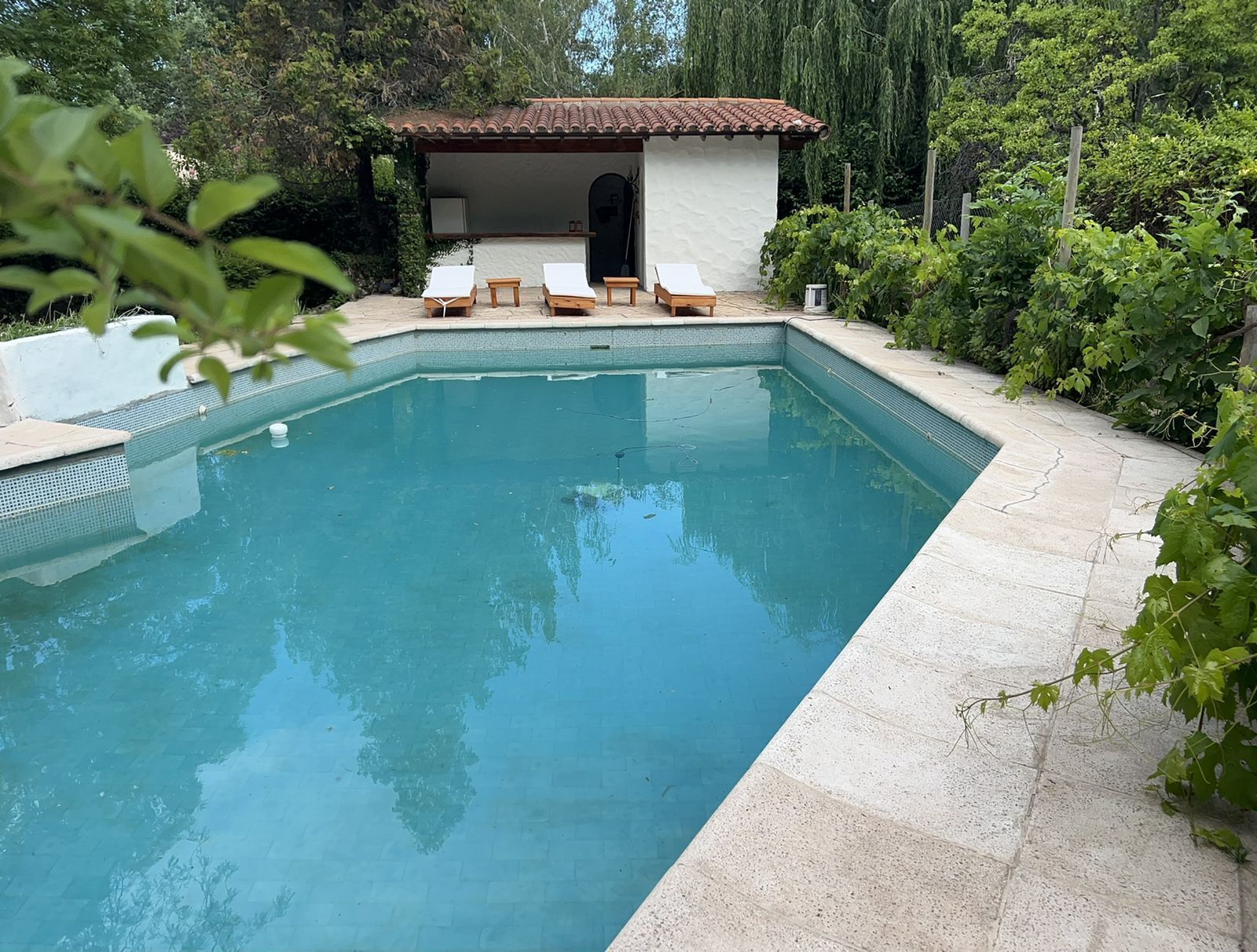 Piscina externa