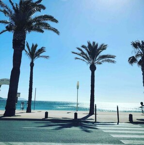 A coastal road with palm trees, a pedestrian crossing, and a clear view of the ocean. - Cozy apartment with ocean views and a pool (La Ciotat)