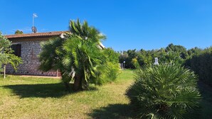 A stone building with a tiled roof, surrounded by well-maintained grass and palm trees. - Agriturismo La Tortorella (Grosseto)