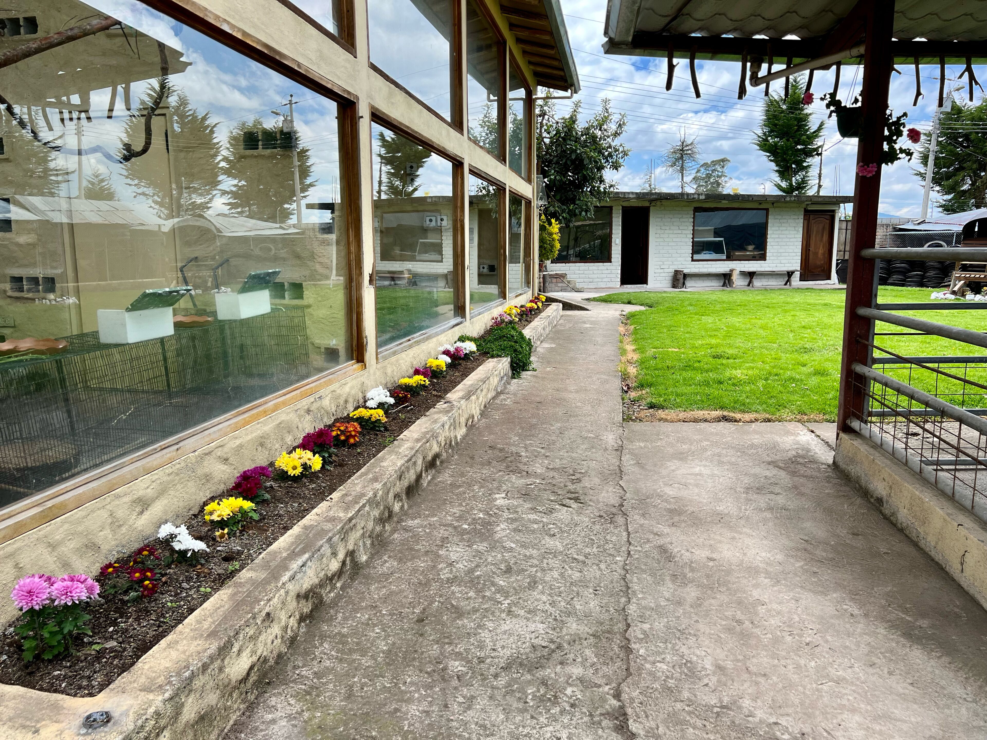 Un chemin menant à un bâtiment doté de grandes fenêtres et agrémenté d’un parterre fleuri où poussent différentes espèces de fleurs.