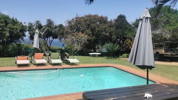 Une piscine entourée de verdure, avec des chaises longues et des parasols, et un véhicule garé à proximité.