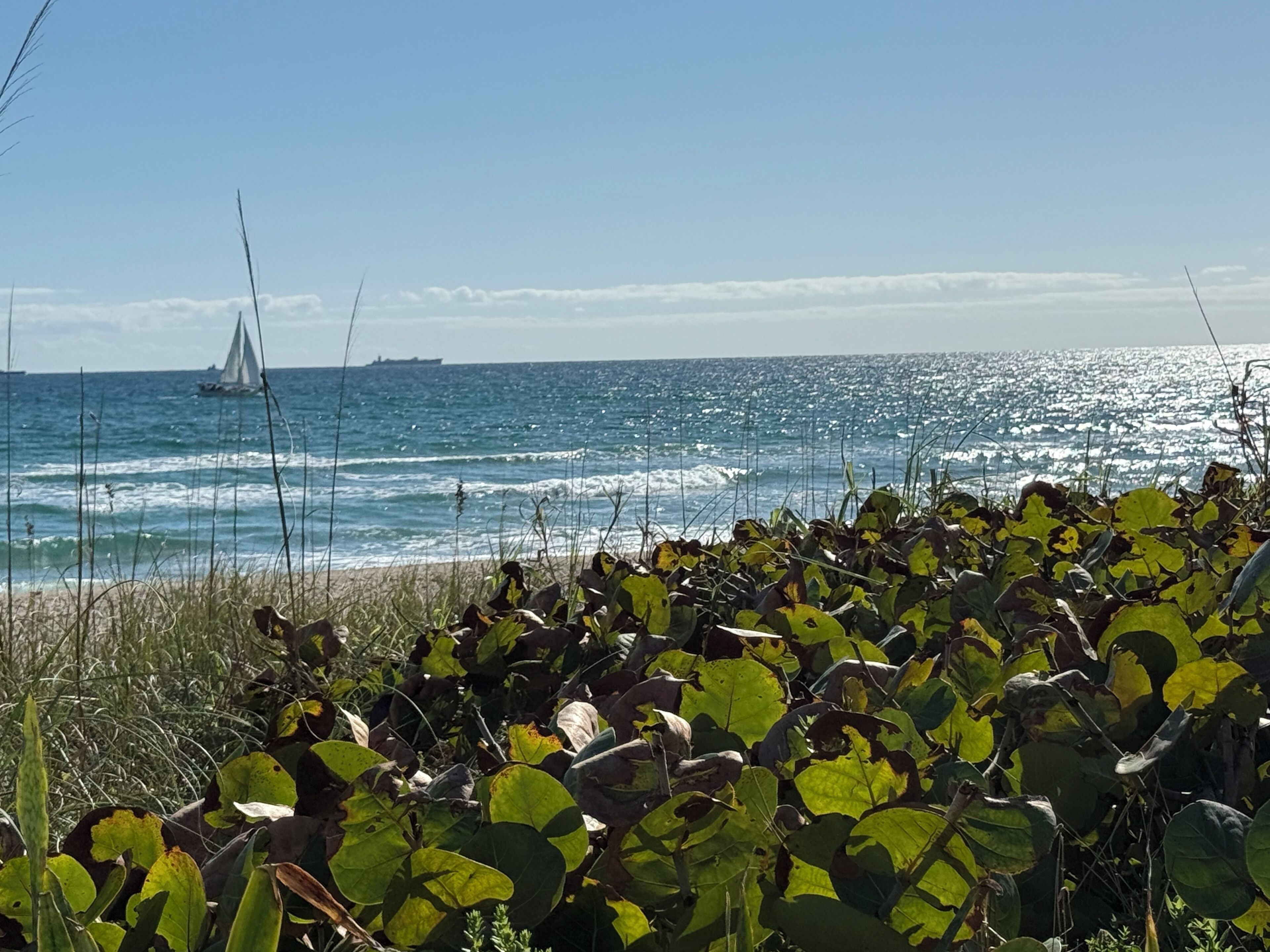 Sun loungers, beach towels
