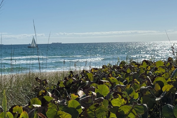 Liegestühle, Strandtücher