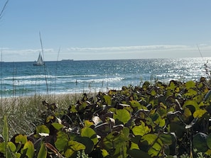 A beach with ocean waves, a sailboat, and dense foliage in the foreground.