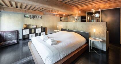 Art & Soie - Appt dâexception avec terrasse â Croix-Rousse