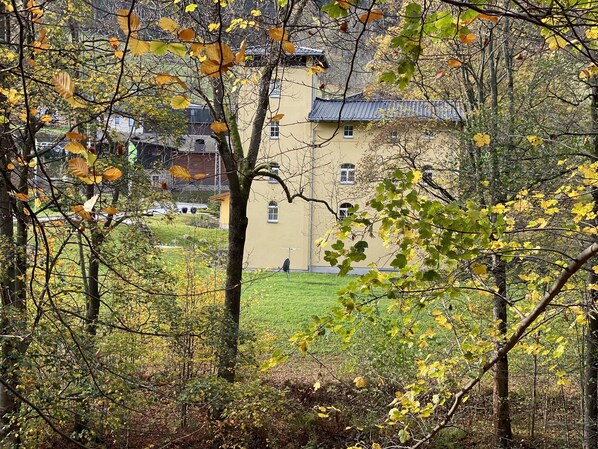 A building surrounded by trees with autumn leaves, a grassy area, and a clear sky.