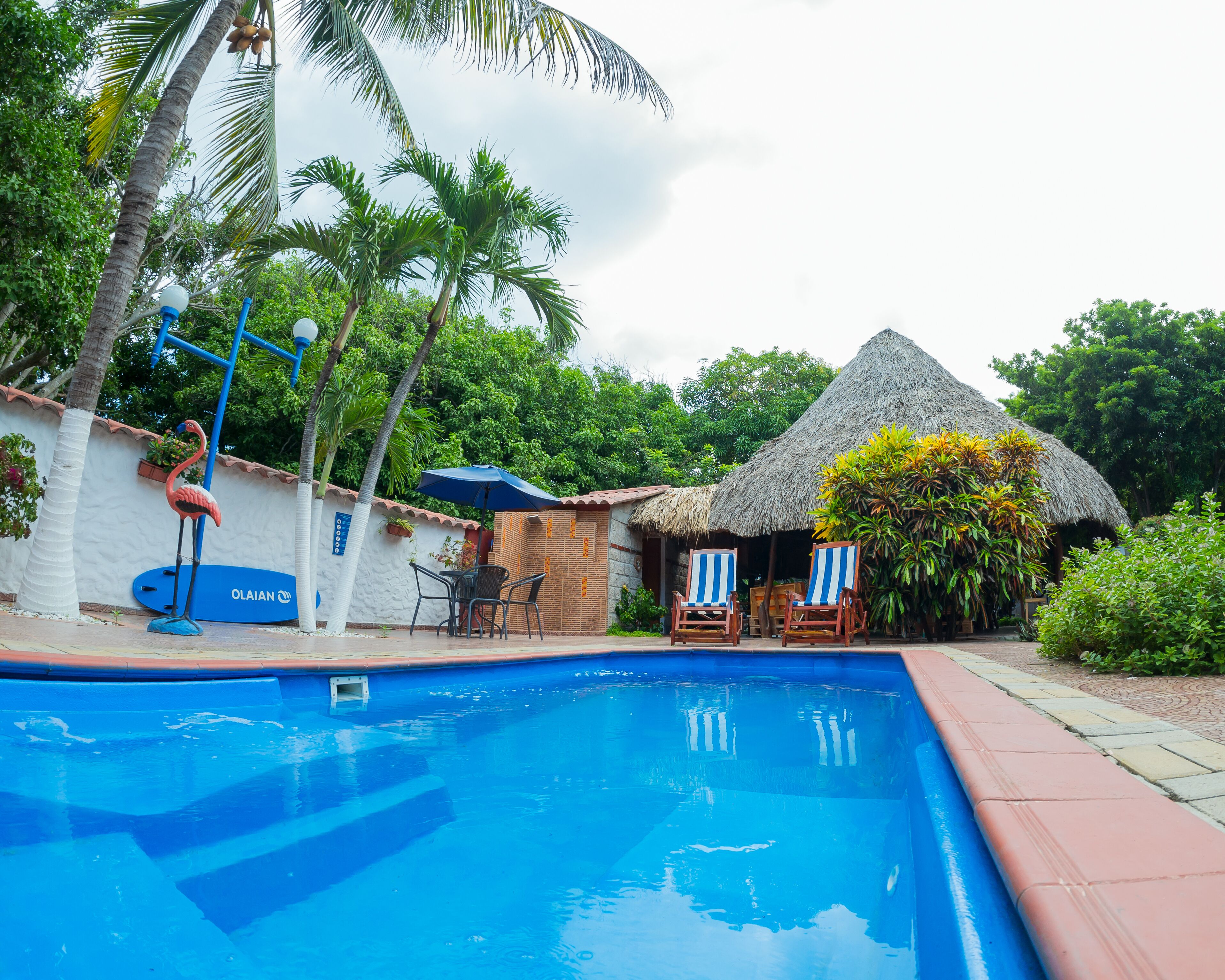 Una piscina al aire libre, sombrillas, tumbonas