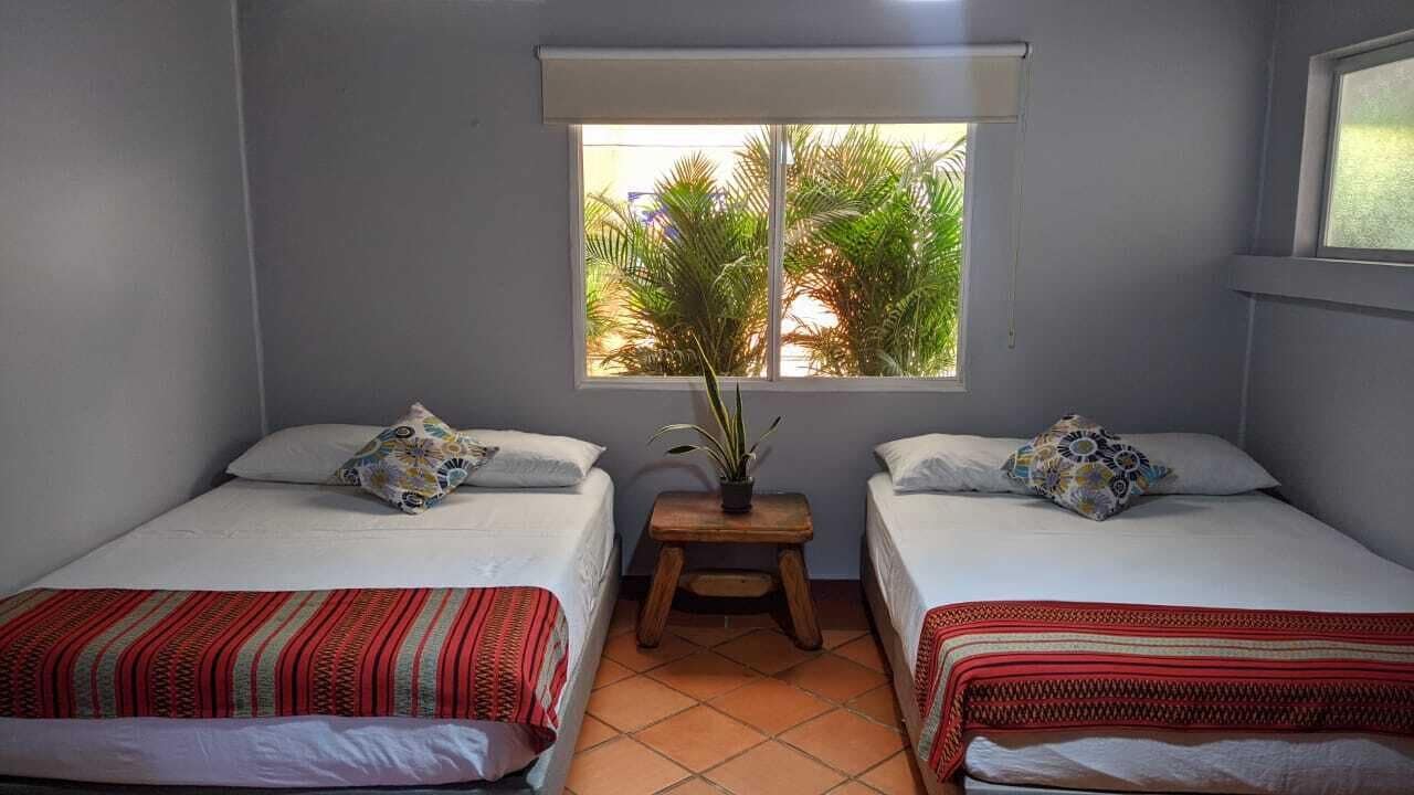 Suite junior | Ropa de cama de alta calidad, edredones de plumas, cortinas opacas