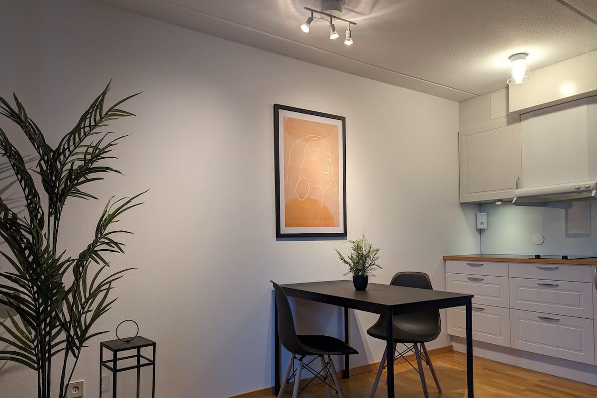 A modern kitchen with white cabinets, a dining table with two chairs, a potted plant, and a framed artwork on the wall.