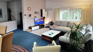 Smart-TV, Stereoanlage