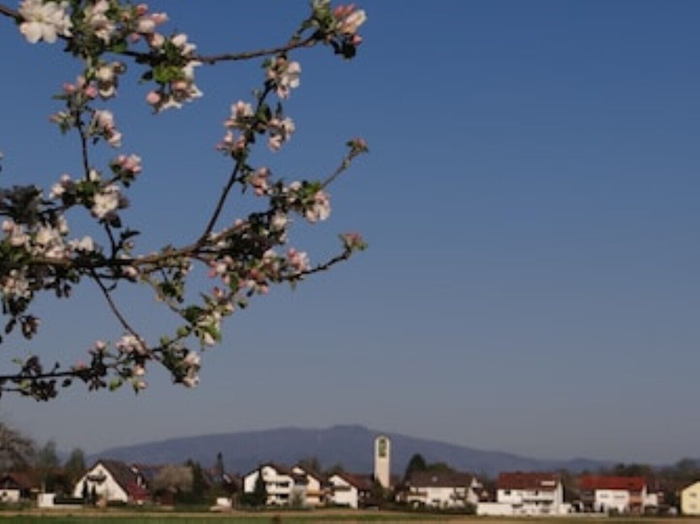 A rural landscape with blooming trees, houses, and a church tower.