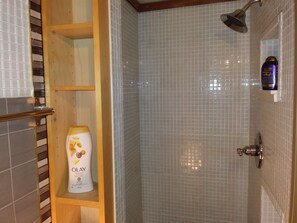 Hair dryer, towels, soap, shampoo