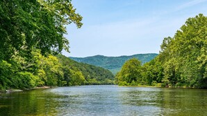 A river surrounded by dense forest and hills.
