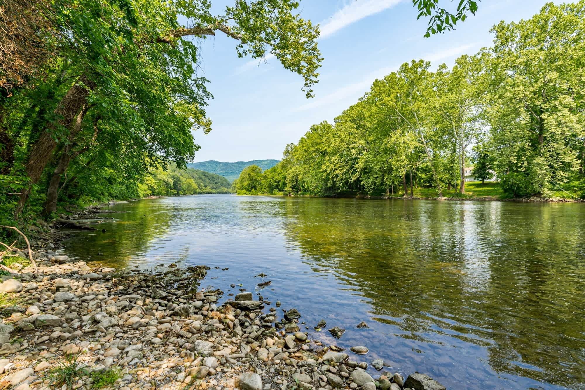 A river with a rocky riverbank and dense green trees on both sides.
