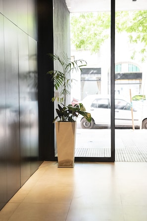 A modern interior with a potted plant, a tiled floor, and a view of a street with a white car.