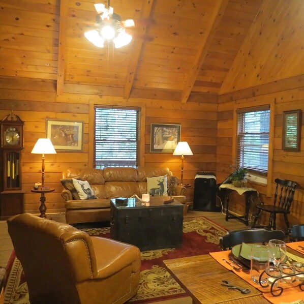 Télévision, cheminée, lecteur de DVD, livres