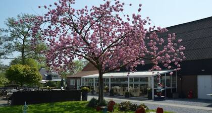 Haus Zeeland am Deich - NEU modernisiert, Oase der Erholung