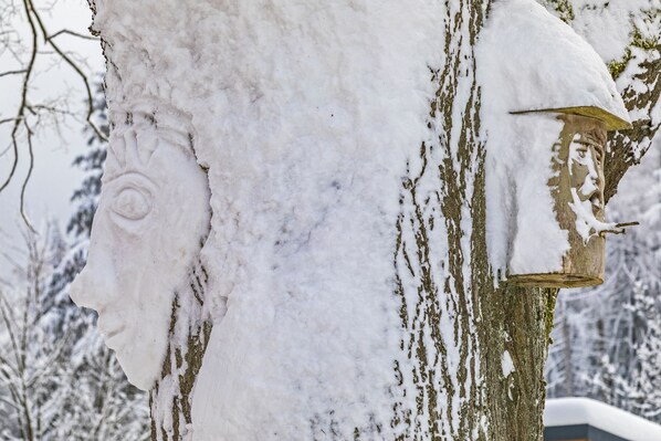 A snow-covered tree with a birdhouse.