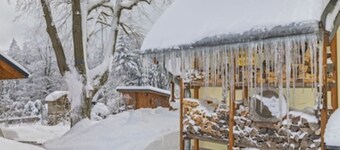 Fewo Geisingberg, cozy vacation apartment in a forest idyll