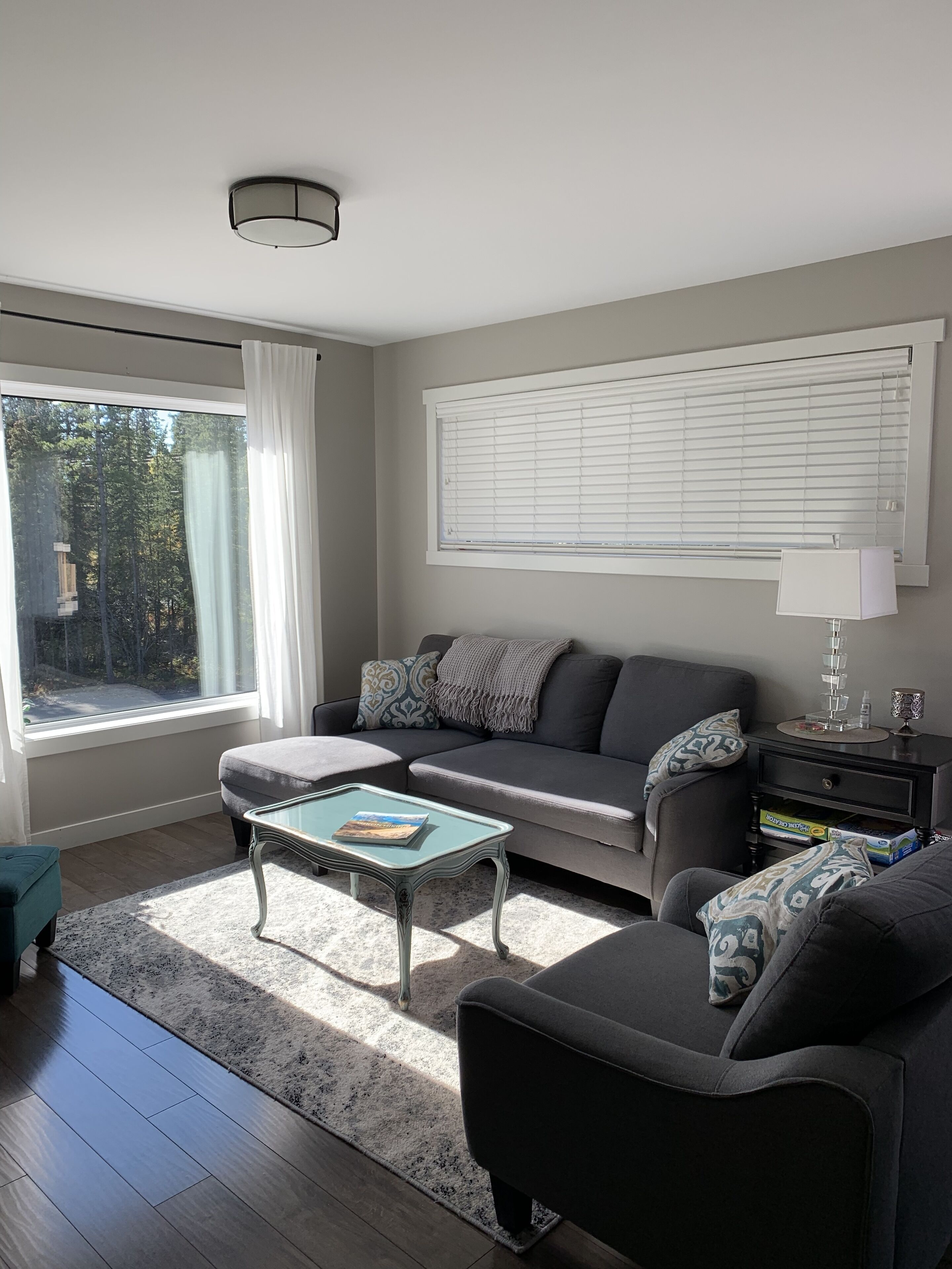 TV connectée, cheminée, livres