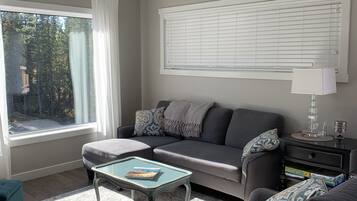 TV connectée, cheminée, livres