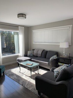 Smart TV, fireplace, books