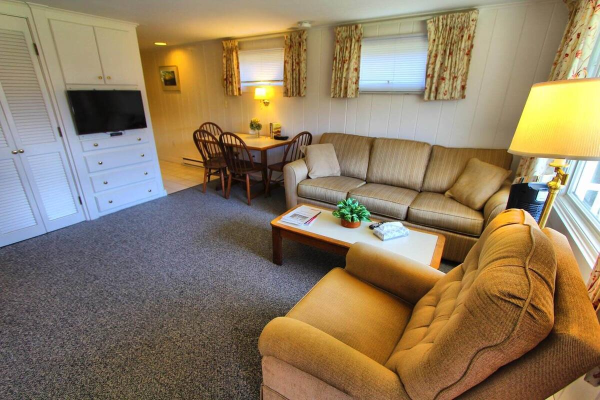 A furnished living room with a sofa, armchair, coffee table, dining table, chairs, and a TV.