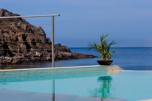A swimming pool with clear blue water, a potted plant, and a rocky coastline in the background.