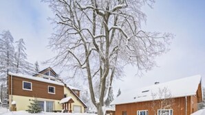 A two-story wooden house with a snow-covered roof and a large tree in front.