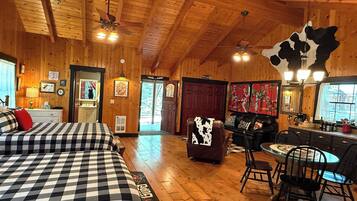 Fireplace, books, stereo, offices