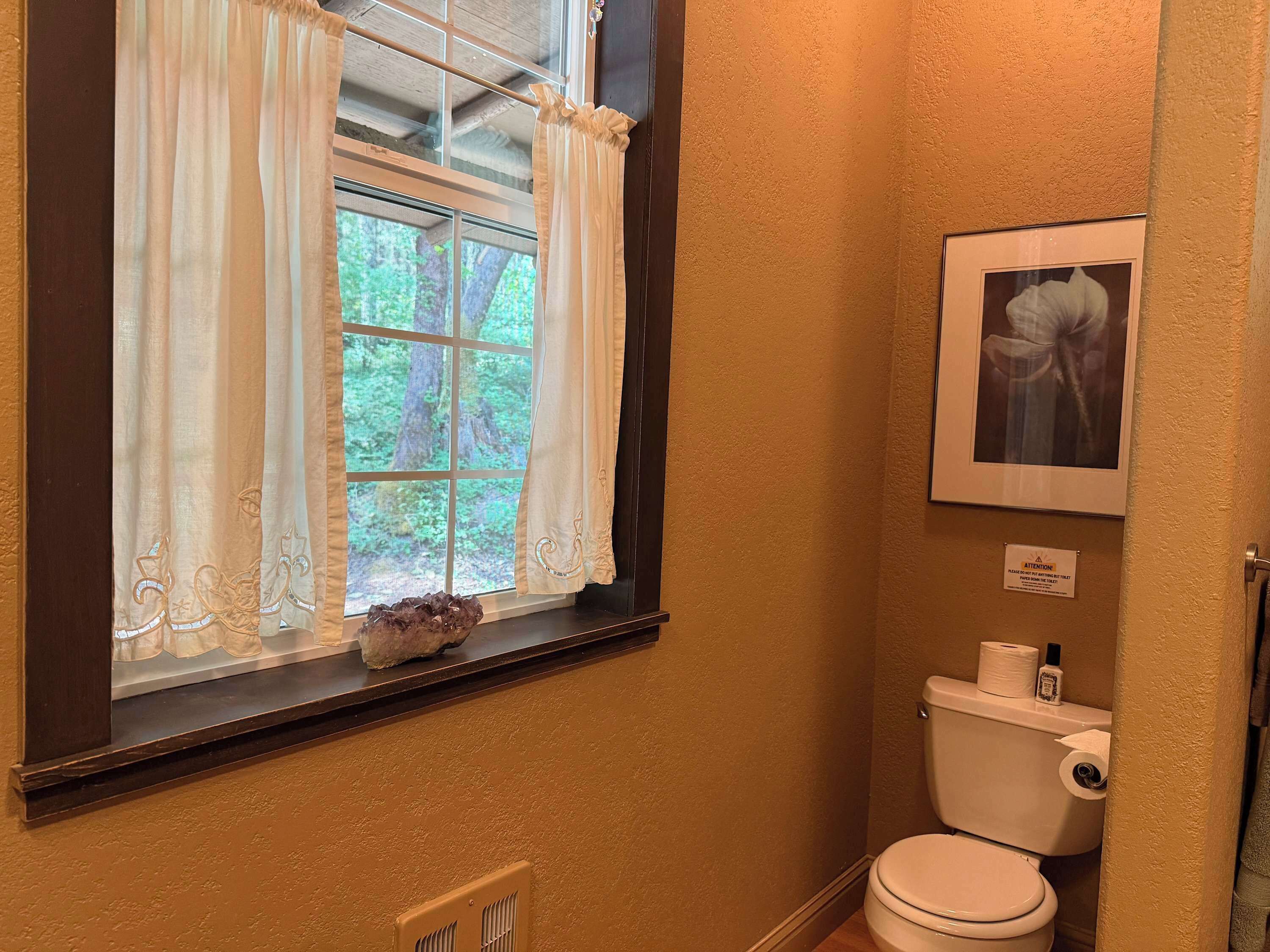 A bathroom with a window, toilet, and a framed picture on the wall.