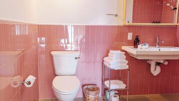 A bathroom with a toilet, a sink, and a mirror.