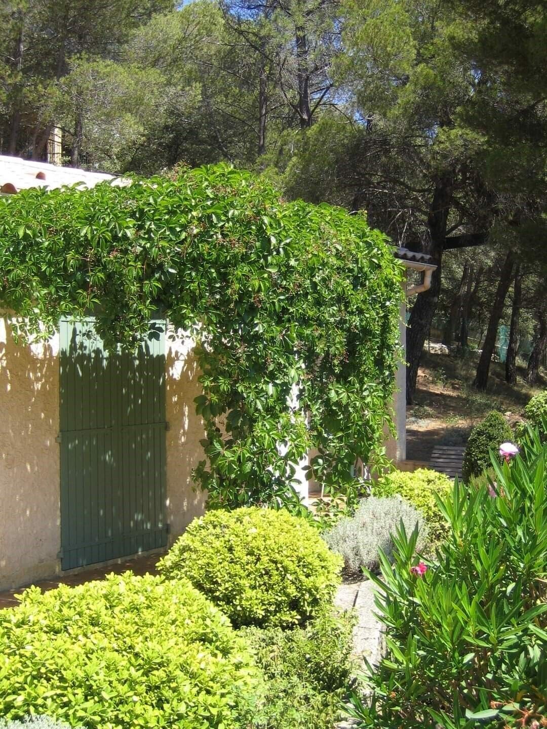 Un bâtiment doté d’un toit végétalisé, entouré d’une végétation luxuriante et d’arbres.