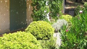 Un edificio con tetto verde, circondato da rigogliosa vegetazione e alberi.