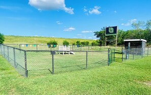 Terrain de sport
