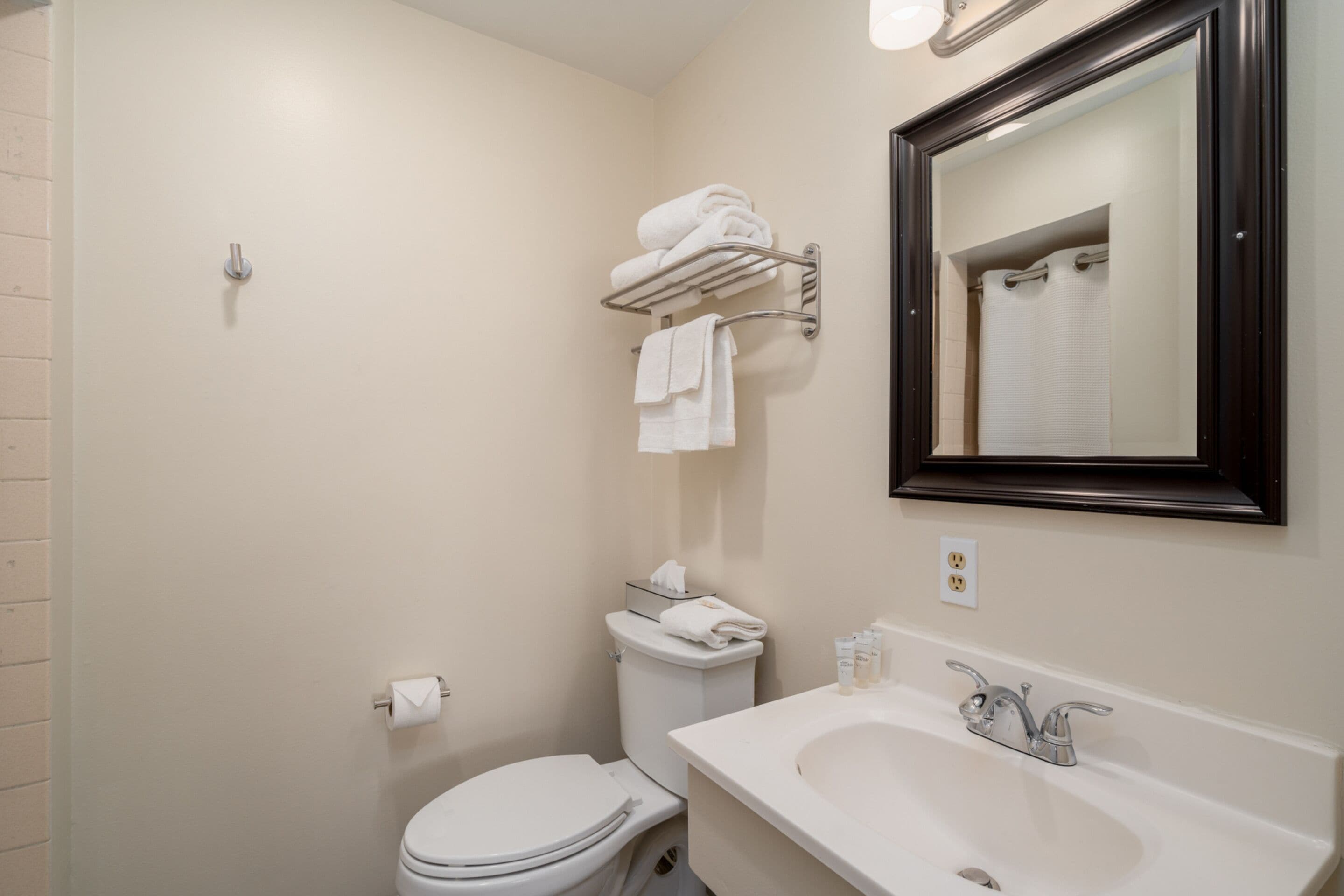 A bathroom with a toilet, sink, and towel rack.