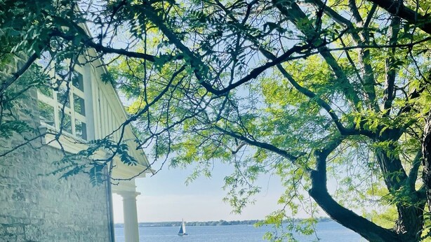 Un espacio cubierto de césped con un edificio blanco y un árbol.